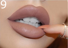 Load image into Gallery viewer, Maillot de rêve | MATTE LIP KIT